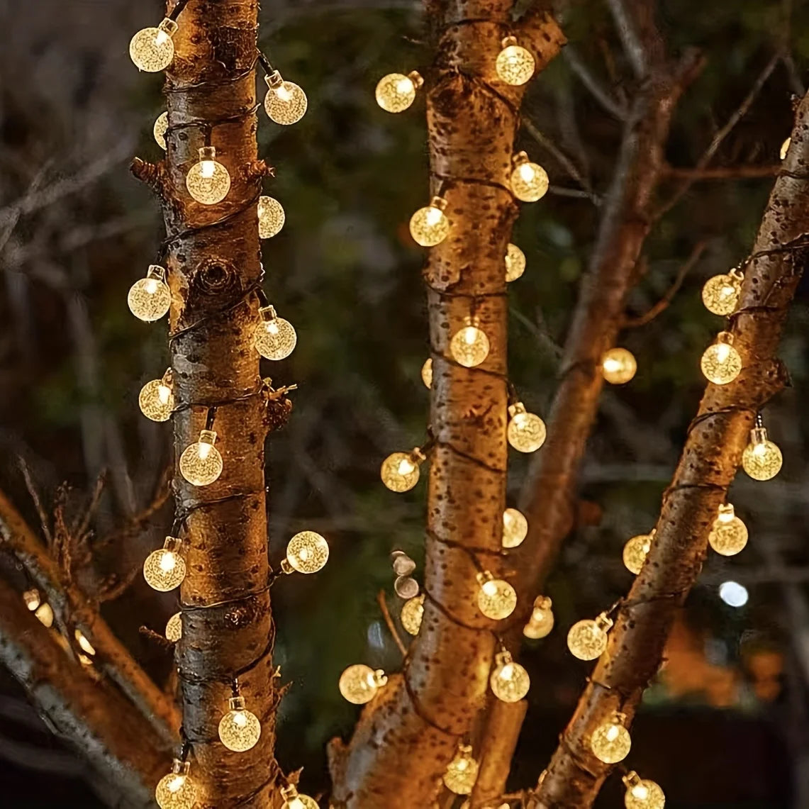 Warm white globe lights around a tree