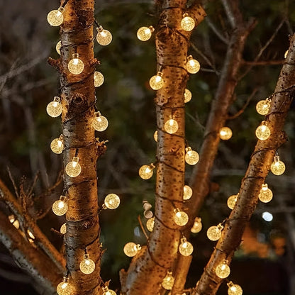 Warm white globe lights around a tree