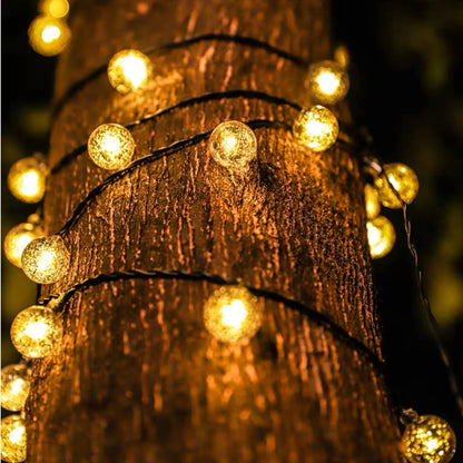 Globe lights around a tree trunk