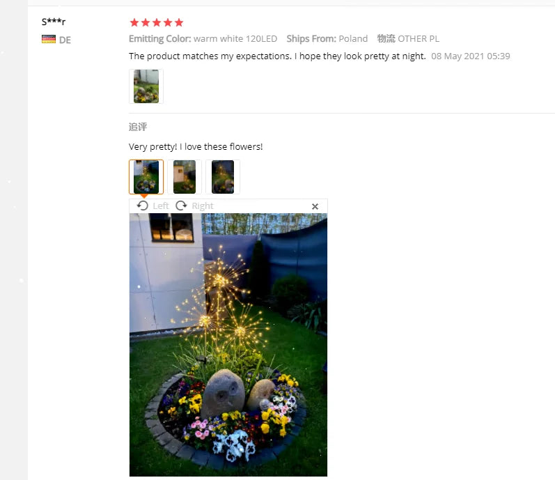 Solar Dandelion Garden Light