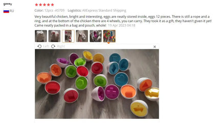 Egg Shape-Matching Puzzle – Learning Toy