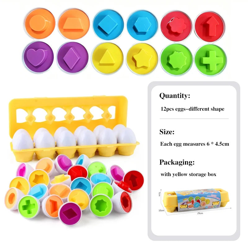 Egg Shape-Matching Puzzle – Learning Toy