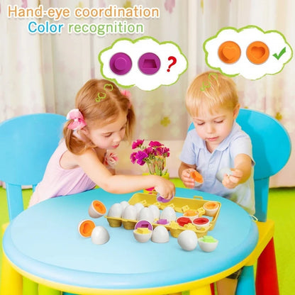 Egg Shape-Matching Puzzle – Learning Toy
